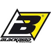 blackbird3